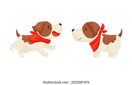 Jack Russell Terrier Standing and Running Vector Set