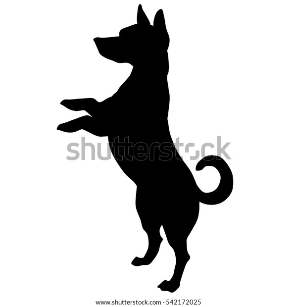 jack russel terrier symbol black and white