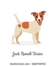 Jack Russel Terrier. Ilustración vectorial de un lindo perro blanco con manchas marrones de estilo plano. Aislado sobre blanco