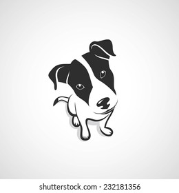 Jack Russell Terrier - vector illustration