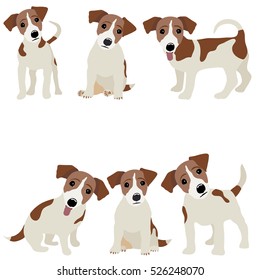 Jack Russell Terrier. Vector Illustration of a dog