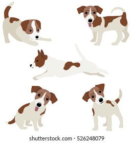 Jack Russell Terrier. Vector Illustration of a dog