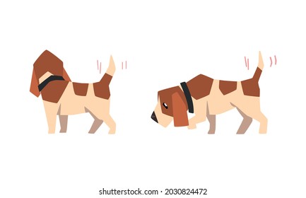 Jack Russell Terrier Wagging its Tail Set, Adorable Pet Animal Activity Cartoon Vector Illustration