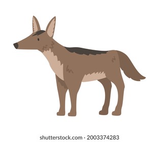 Jackal African Animal, Side View of Wild Predator Jungle Animal Cartoon Vektorgrafik