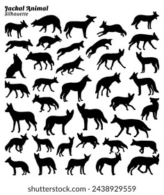 Jackal animal silhouette vector illustration set.