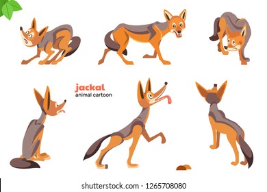 Jackal Cartoon Character Vector illustration. Set of cute cartoon characters isolated on white background.