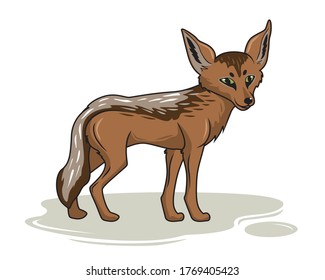 Jackal Cartoon Isolated Wild Animals
