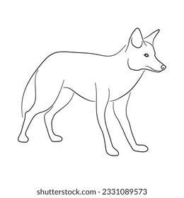 Jackal illustration in doodle style. Vector isolated on a white background. 