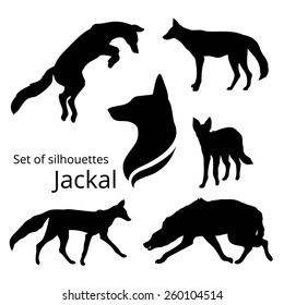 Jackal set of silhouettes, vector