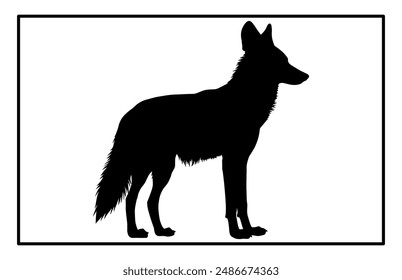 Jackal Silhouette, Hand drawn silhouette of a wild black backed jackal Illustration