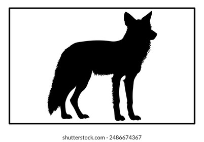 Jackal Silhouette, Hand drawn silhouette of a wild black backed jackal Illustration