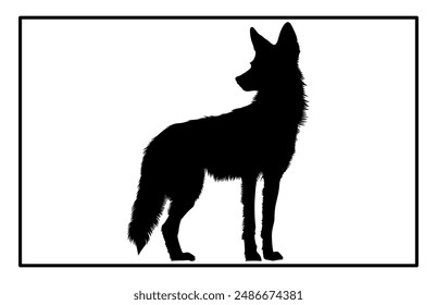 Jackal Silhouette, Hand drawn silhouette of a wild black backed jackal Illustration