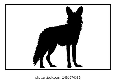 Jackal Silhouette, Hand drawn silhouette of a wild black backed jackal Illustration