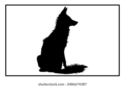 Jackal Silhouette, Hand drawn silhouette of a wild black backed jackal Illustration