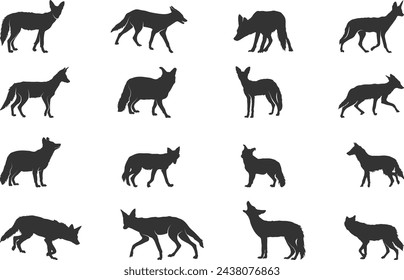 Jackal silhouette, Wild jackal silhouette, Jackal silhouettes,  Jackal vector illustration.