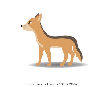 Jackal Standing Vector Image - Cartoon