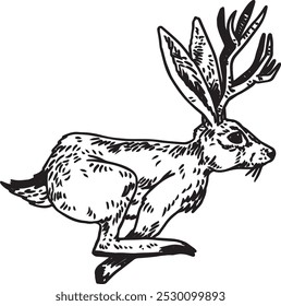 Jackalope - handgezeichnete Vektorgrafik von mythologischem Kaninchen mit Geweihen