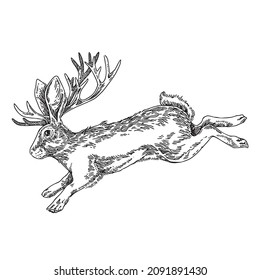 Jackalope. Hass dich, wenn Hörner springen. Skizze. Gravur-Stil. Vektorgrafik