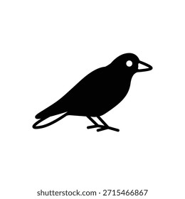 Jackdaw Crow Bird Fill Icon: Inteligência e vida selvagem urbana