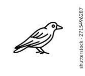 Jackdaw Crow Bird Line Icon: Intelligence and Urban Wildlife