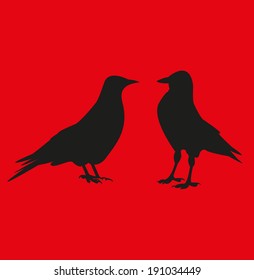 Jackdaw, daw