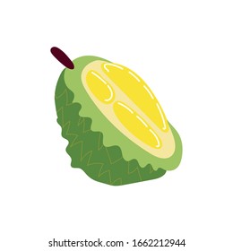 jackfruit exotic fruit flat style icon vector illustration design