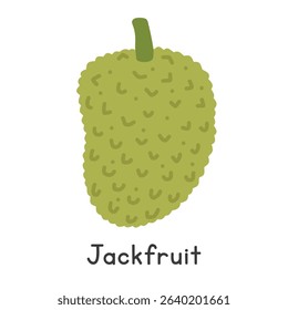 Jackfruit flat vector illustration. Jackfruit cartoon clipart style isolated on white background. Also known as jack, jak, nangka, kathal, jaca, khanun, mit, or tree mutton. Tropical and Exotic fruit
