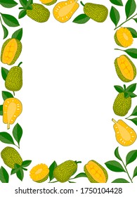 Jackfruit frame. Hand drawn texture. Stock vector illustration.