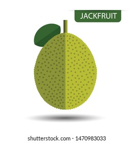 Jackfruit, fruit on white background. Flat design style. vector illustration.