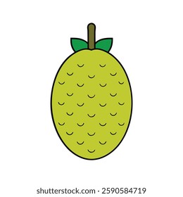 Jackfruit Fruit Vector art  Illustration