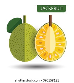 Jackfruit, Fruit Vector Illustration