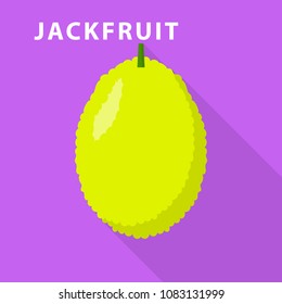 Jackfruit Icon. Flat Illustration Of Jackfruit Vector Icon For Web Design