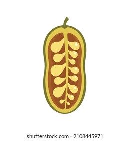 Jackfruit icon. Flat illustration of jackfruit vector icon isolated on white background