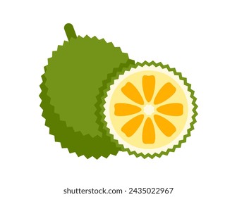 jackfruit illustration for coloring book template, jack fruit for kids worksheet printable
