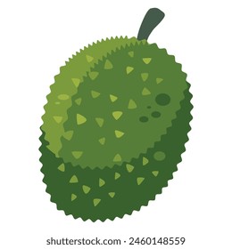 Jackfruit oder Nangka Vektorgrafik Bild, Jak oder Jaca, Khanun oder Khanor Illustration, Maki mi oder May mi isoliert auf weißem Hintergrund, mit Obst Clipart