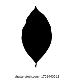 Jackfruit plant leaf illustration, black vector silhouette