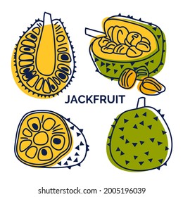 Jackfruit set of lines and spots. Icon collection of whole and sliced exotic fruit. Vector illustration for design, menu, restaurant.