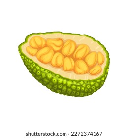 caricatura de corte de trozos de yaca. orgánico tropical, naturaleza alimenticia, asiático sano, delicioso, asia, trozo de yaca fresca cortado ilustración vectorial