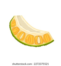 jackfruit slice cut cartoon. tropical organic, food nature, asian healthy, ripe delicious, fresh jackfruit slice cut vector illustration