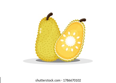 Jackfruit And Jackfruit Slices Vector