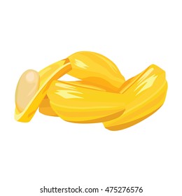 Jack-fruit tropical fruits
