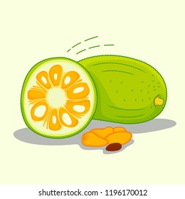 Jackfruit Vector Illustration