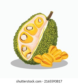 Jackfruit Vector Illustration Cartoon Clipart