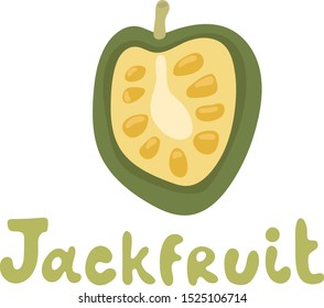 Jackfruit vector illustration. Vector illustration cartoon flat icon isolated on white