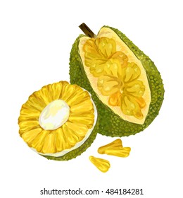 Jackfruit, Vector Illustration. Exotic Fruit