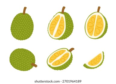 Ilustración vectorial de la yaca. aislado en el fondo blanco.	