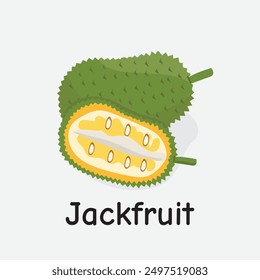 Jackfruit Vector Illustration: Large Tropical Spiky Fruit