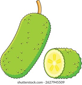 jackfruit vectors art design illustration