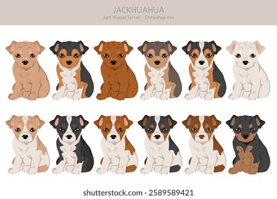 Jackhuahua clipart. Jack Russel Terrier - Chihuahua mix. All possible coat colors, breed information, adults and puppies.  Vector illustration