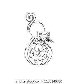 Jack-o-lantern pumpkin and cat